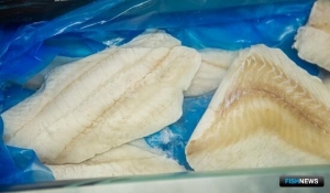 &laquo;Рыбная&raquo; комиссия РСПП обсудила возможность послаблений по экспортным пошлинам