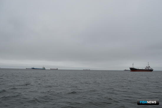 Профсоюз моряков встревожен отменой лицензий для крюингов