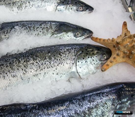 Россияне налегли на форель и семгу
