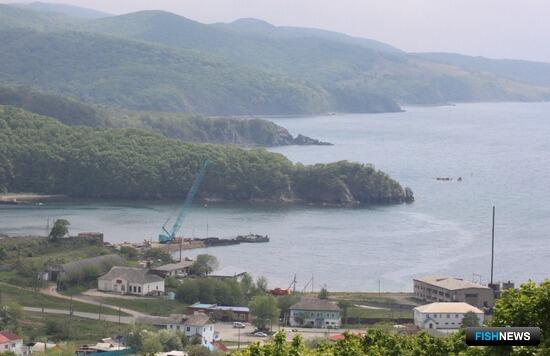 Власти Приморья обсуждают, на что направить средства от крабовых аукционов Власти Приморья обсуждают, на что направить средства от крабовых аукционов