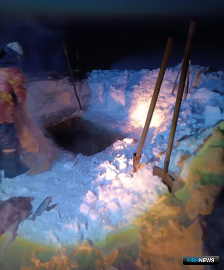 &laquo;Краснокнижную&raquo; рыбалку в ЯНАО пресекла полиция