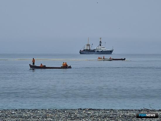 Приморье просит &laquo;не выключать&raquo; участки в период путины
