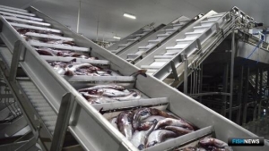 ОС привлек внимание к проблемам заводов под инвестквоты