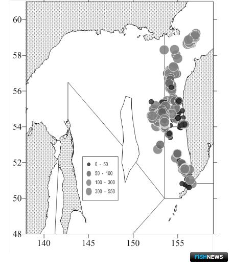 Добытчики минтая активизировались в Западно-Камчатской подзоне Добытчики минтая активизировались в Западно-Камчатской подзоне
