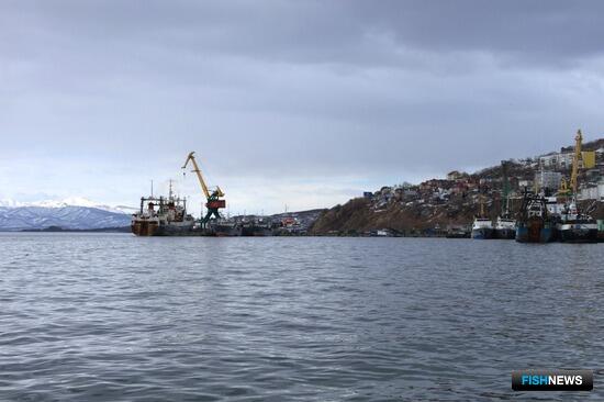 Камчатка прибавила в рыбном экспорте