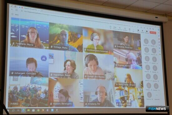 Ученые России и Норвегии продолжают &laquo;рыбный&raquo; диалог