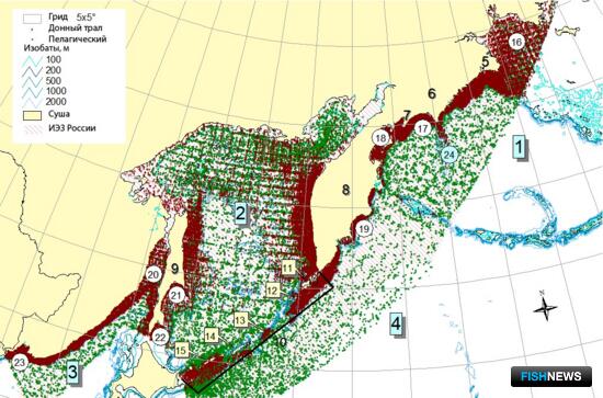 Наука определила самые акульи места на Дальнем Востоке