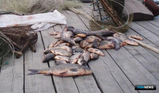 Рыбинспекторы Приморья готовятся к &laquo;горячему&raquo; периоду