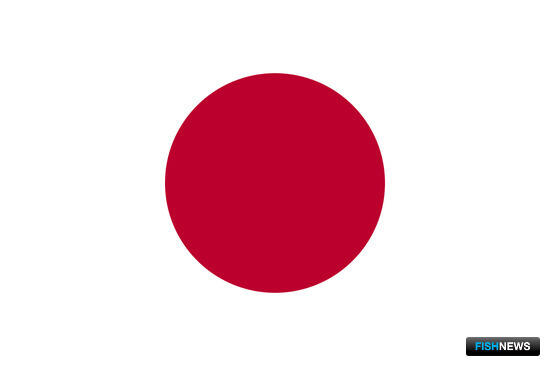 Япония совершенствует технологию выращивания угря Япония совершенствует технологию выращивания угря