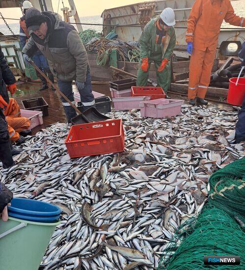 Балтийская треска остается в депрессии