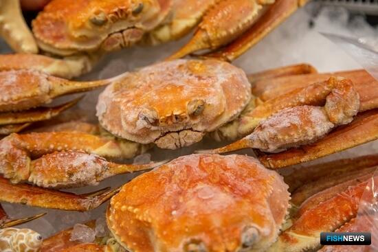 Северная столица вновь примет конференцию по холодильной цепи