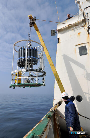 Балтийская треска остается в депрессии