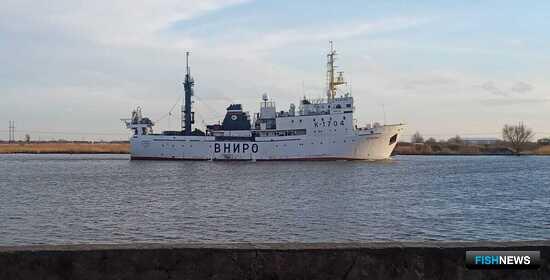 Балтийская треска остается в депрессии