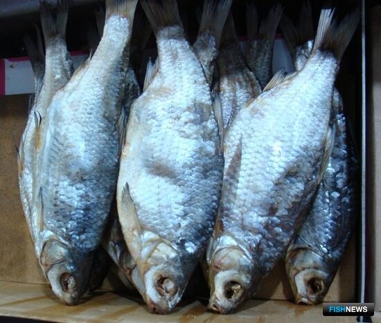 Астраханским рыбакам отвели 10 дней на промысел воблы Астраханским рыбакам отвели 10 дней на промысел воблы