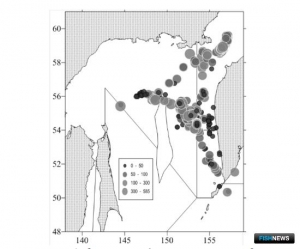 В Охотском море поубавилось флота на минтае В Охотском море поубавилось флота на минтае