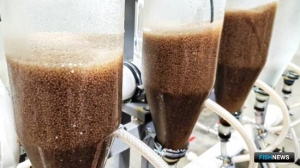 Новое поколение ямальской нельмы вырастят в УЗВ Новое поколение ямальской нельмы вырастят в УЗВ