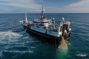 Российские уловы по-прежнему обгоняют прошлогодний уровень