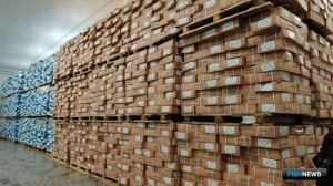 Рыбную биржу включили в дорожную карту по развитию Владивостока