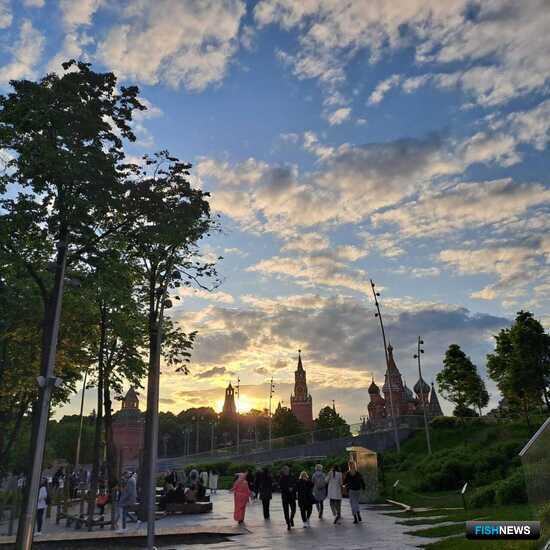 Владимир Путин поручил определить путь средствам от крабовых аукционов Владимир Путин поручил определить путь средствам от крабовых аукционов