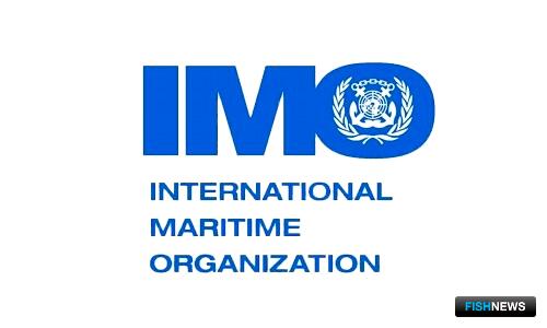 Инструменты ИМО скорректировали