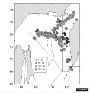Минтайщики добыли более 780 тыс. тонн в Охотском море