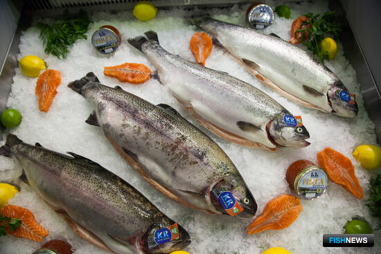 Карелия приняла новую программу развития рыболовства и аквакультуры