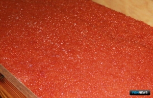 Бизнес на нелегальных деликатесах Камчатки обеспечил уголовные дела