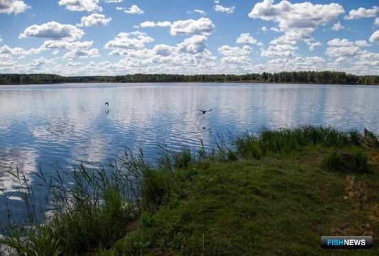 Бесхозным рыбоводным участкам упростят возвращение в оборот Бесхозным рыбоводным участкам упростят возвращение в оборот
