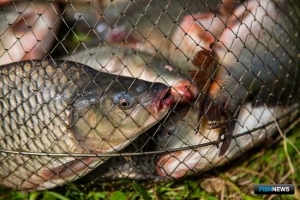 На льготные кредиты для сельхозпроизводителей добавят еще 5 миллиардов