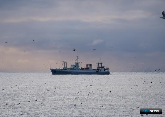 Российский вылов перевалил за полтора миллиона тонн
