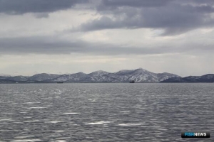 Использование средств от крабовых аукционов обсудили у Виктории Абрамченко