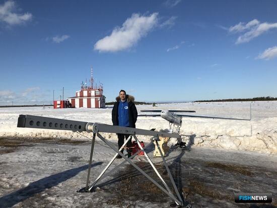 Беломорских тюленей пересчитали с воздуха