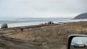 Сахалинские рыбаки-любители не дают спасателям заскучать