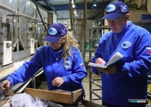 Ученые исследовали рыбные запасы Японского моря