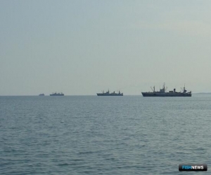 Данные о недобросовестных участниках аукционов в рыбной отрасли соберут в реестр