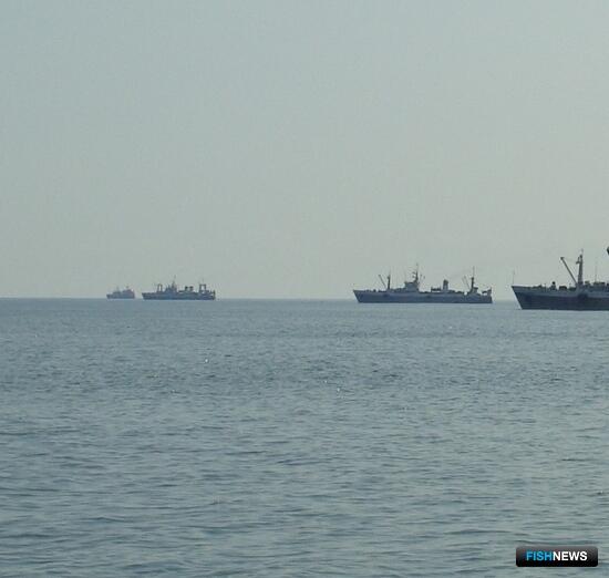 Квоты под инвестиции: что в планах Квоты под инвестиции: что в планах