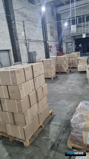 Тамбовского предпринимателя оштрафовали за бизнес на поддельной икре Тамбовского предпринимателя оштрафовали за бизнес на поддельной икре