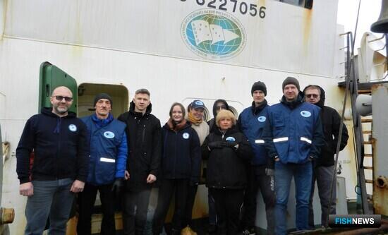 Наука проверит запасы сельди в Баренцевом море