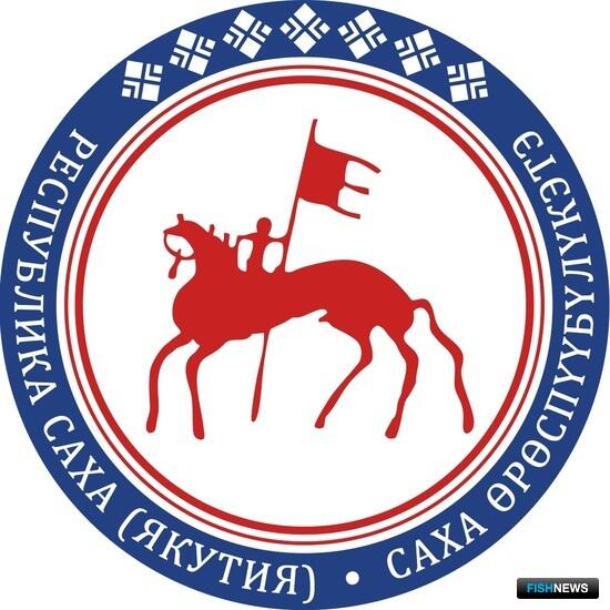 Запасы сиговых в Якутии ждет очередное пополнение Запасы сиговых в Якутии ждет очередное пополнение