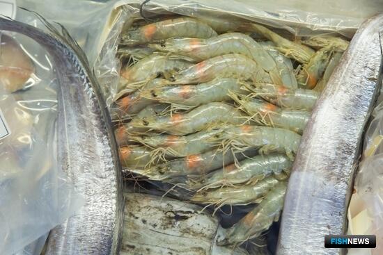 Новая выставка в Стамбуле охватит все все сферы рыбной отрасли