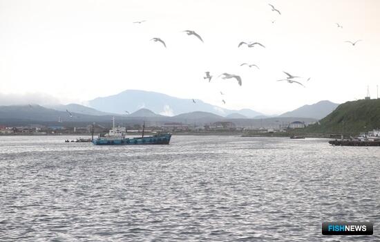 Сахалин представил предложения по механизмам поддержки рыбацких поселений