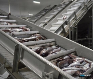 Минпромторг обновит приказ по контролю постройки заводов под инвестквоты