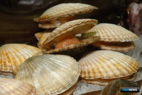 Экспортерам живых морепродуктов в Китай необходимо пройти анкетирование