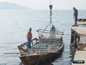 &laquo;Лососевый&raquo; бюллетень собрал данные о путине 2023 года