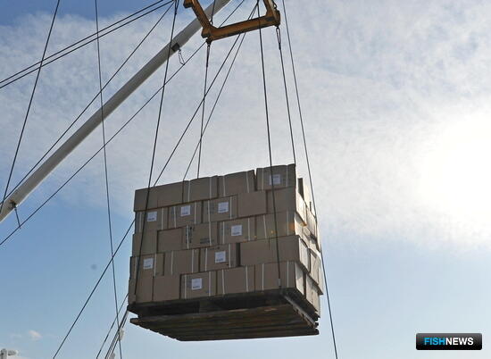 Рыбу хотят уберечь от таможенных послаблений