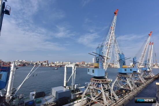 &laquo;Рыбные&raquo; планы: В структуре собственности Владморрыбпорта произошли изменения