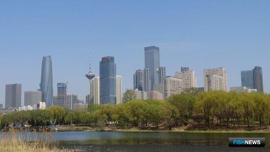 Приморье представит свои возможности в Даляне и Шэньяне Приморье представит свои возможности в Даляне и Шэньяне