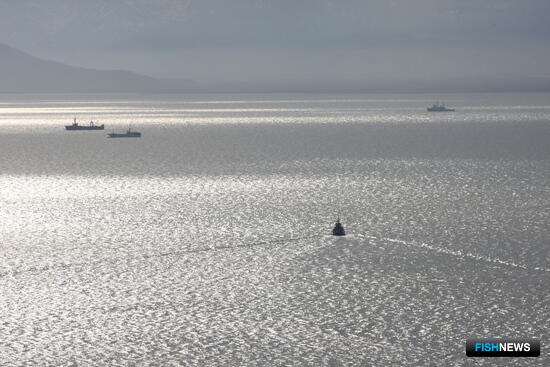 Проект изменений в Правила пограничного режима предусмотрел важные поправки для рыбаков