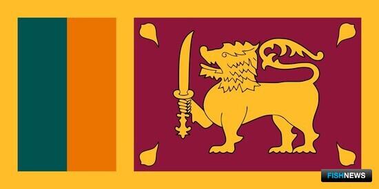 Развитие рыбной отрасли Шри-Ланки профинансирует Япония