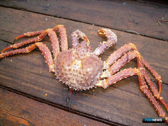 Единым лотом: суд не поддержал вычленение крабовой квоты